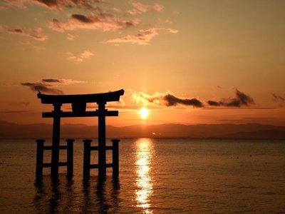⛩️ 시라히게 신사(白鬚神社) 이미지 2